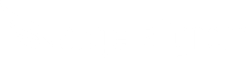 Angel Aligner